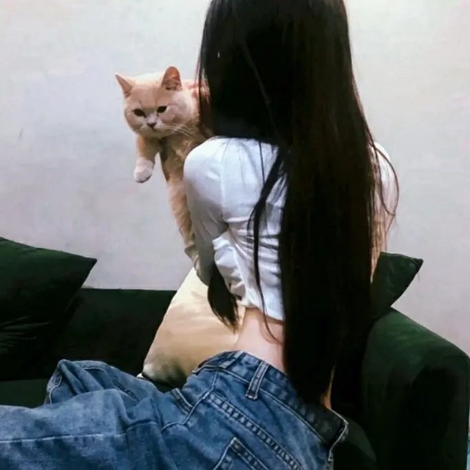 金装少年唐伯虎